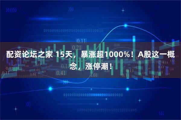 配资论坛之家 15天，暴涨超1000%！A股这一概念，涨停潮！