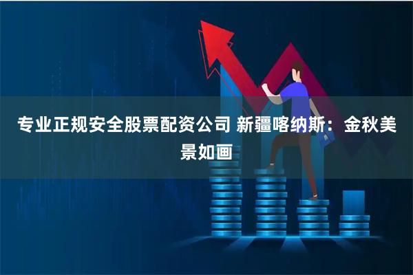 专业正规安全股票配资公司 新疆喀纳斯：金秋美景如画