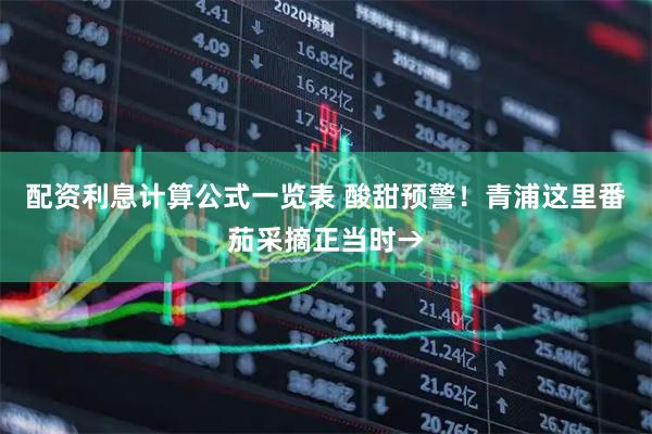 配资利息计算公式一览表 酸甜预警！青浦这里番茄采摘正当时→