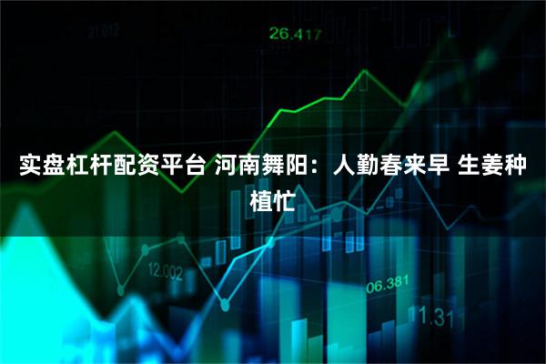 实盘杠杆配资平台 河南舞阳：人勤春来早 生姜种植忙