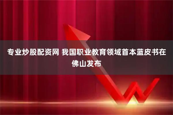 专业炒股配资网 我国职业教育领域首本蓝皮书在佛山发布