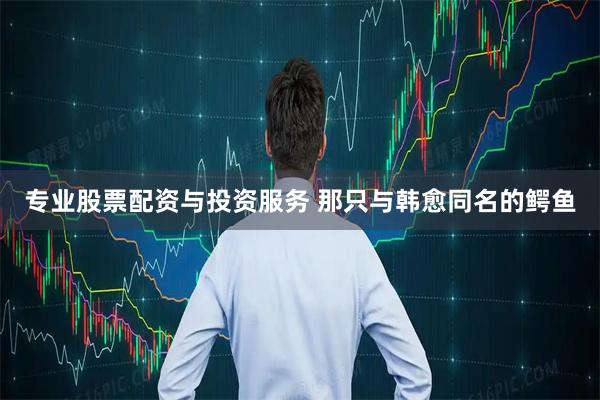 专业股票配资与投资服务 那只与韩愈同名的鳄鱼